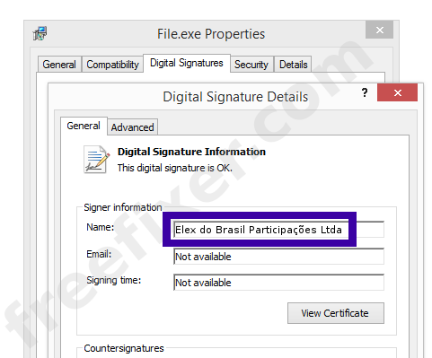 Screenshot of the Elex do Brasil Participações Ltda certificate